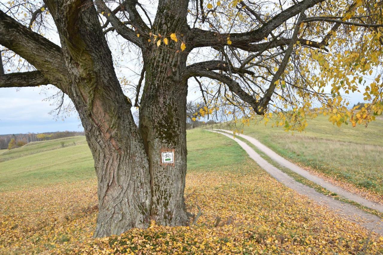 Апартаменти Wigierski Park Narodowy Сувалки Екстер'єр фото